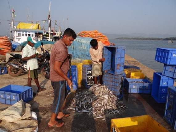 fishing-Raj-600x450.jpg